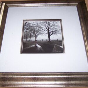 Wood, Glass & Bracket Framed Print Picture of After the Rain by Harold Silverman
